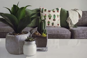 Cash-Out Refinance: Unlocking the Power of Your Home’s Value